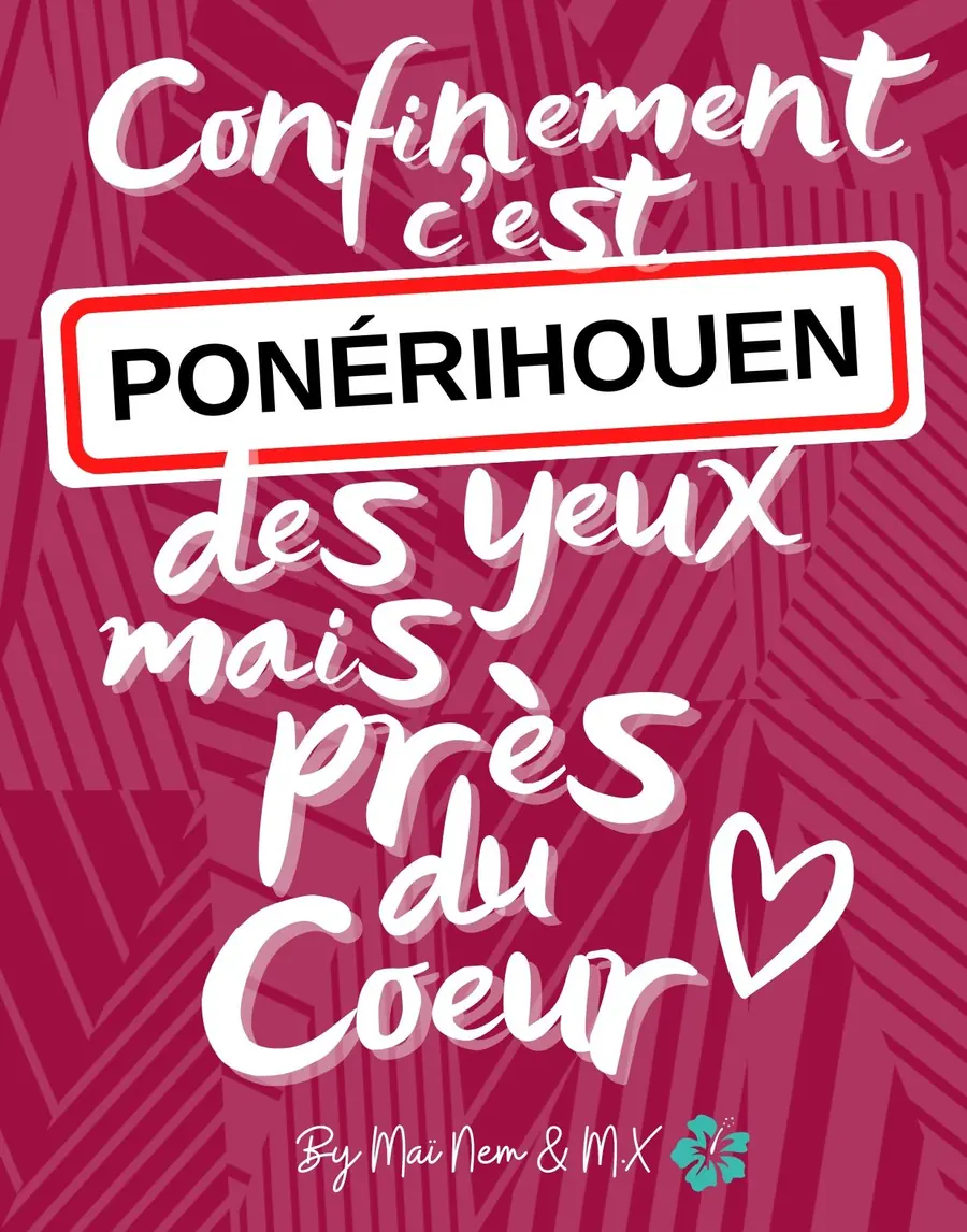 Premier visuel de Ponérihouen