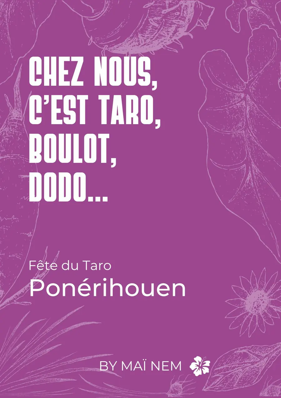 Deuxième visuel de Ponérihouen