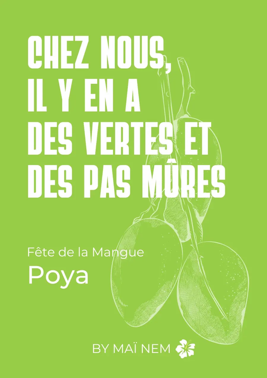 Deuxième visuel de Poya
