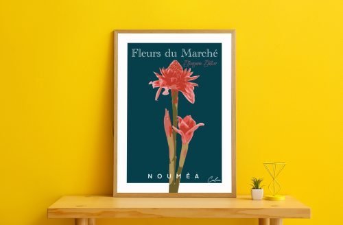 Etlingera elatior 4