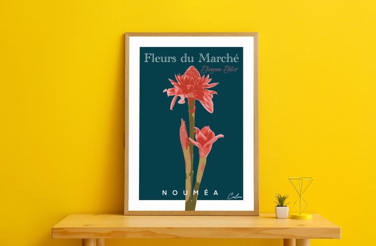 Etlingera elatior 4