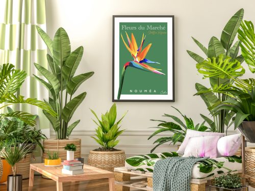 Strelitzia Reginae 2