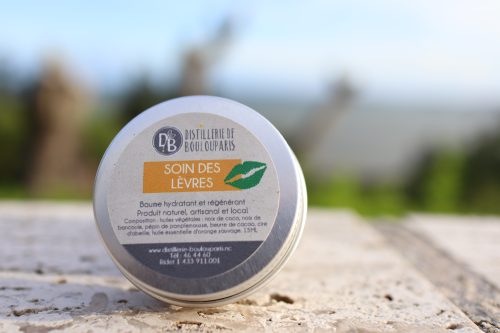 SOIN DES LEVRES 15ML