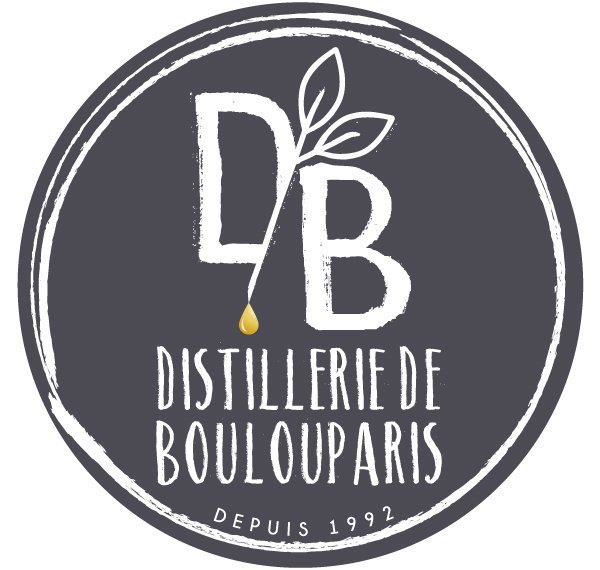 db_logotype_fondgris_2_1