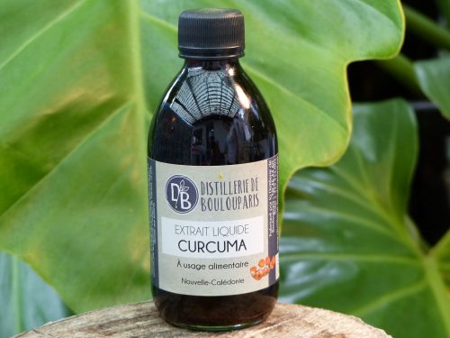 EXTRAIT LIQUIDE DE CURCUMA 250ML