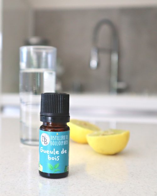 SYNERGIE GUEULE DE BOIS 5ML