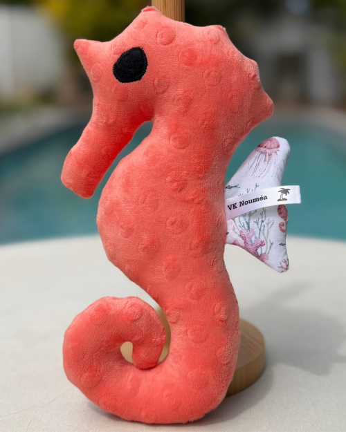 CORAIL